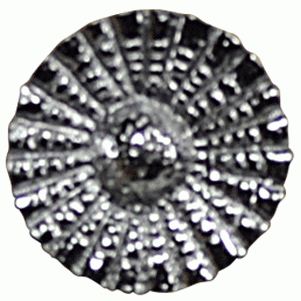 COPPER MOUNTAIN HARDWARE 