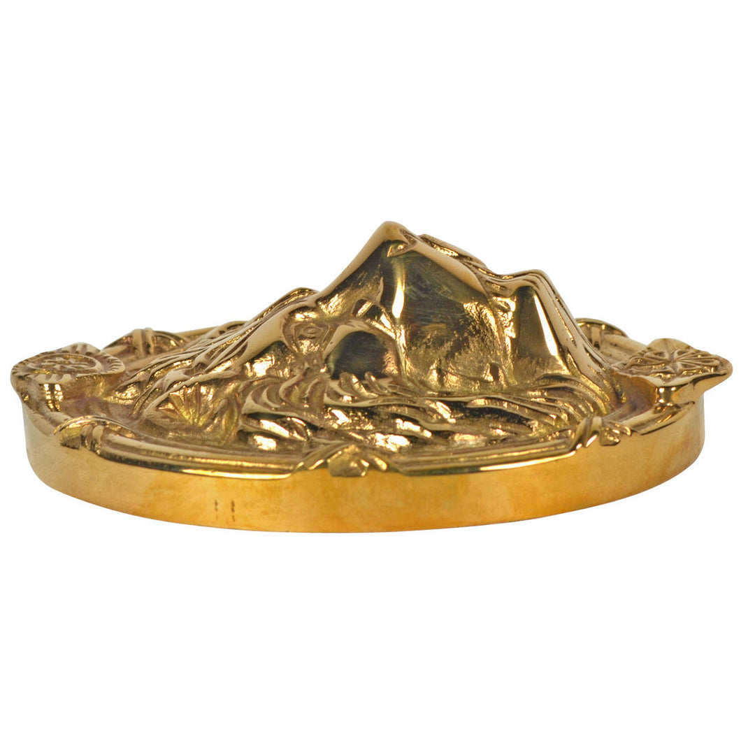 Lion's Head Medallion (Several Finishes Available)